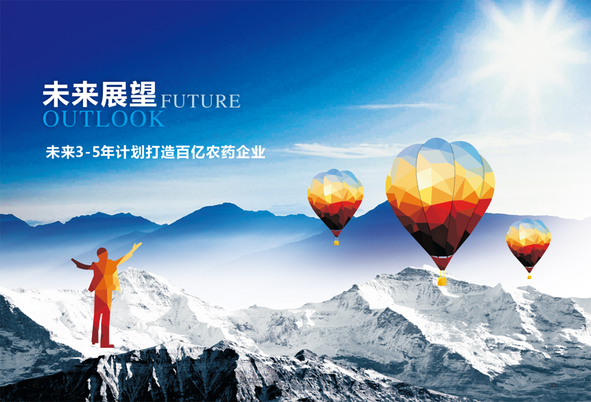 企业愿景